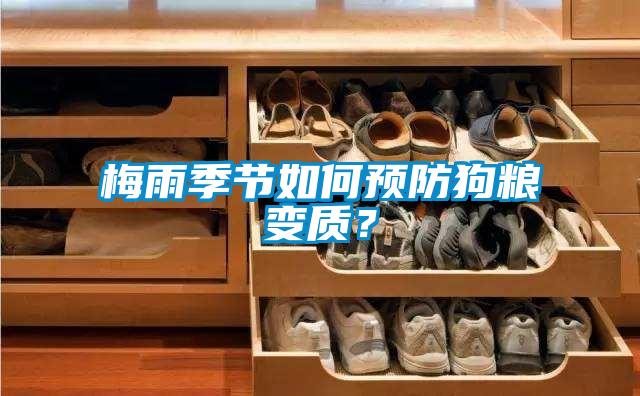 梅雨季節(jié)如何預(yù)防狗糧變質(zhì)？