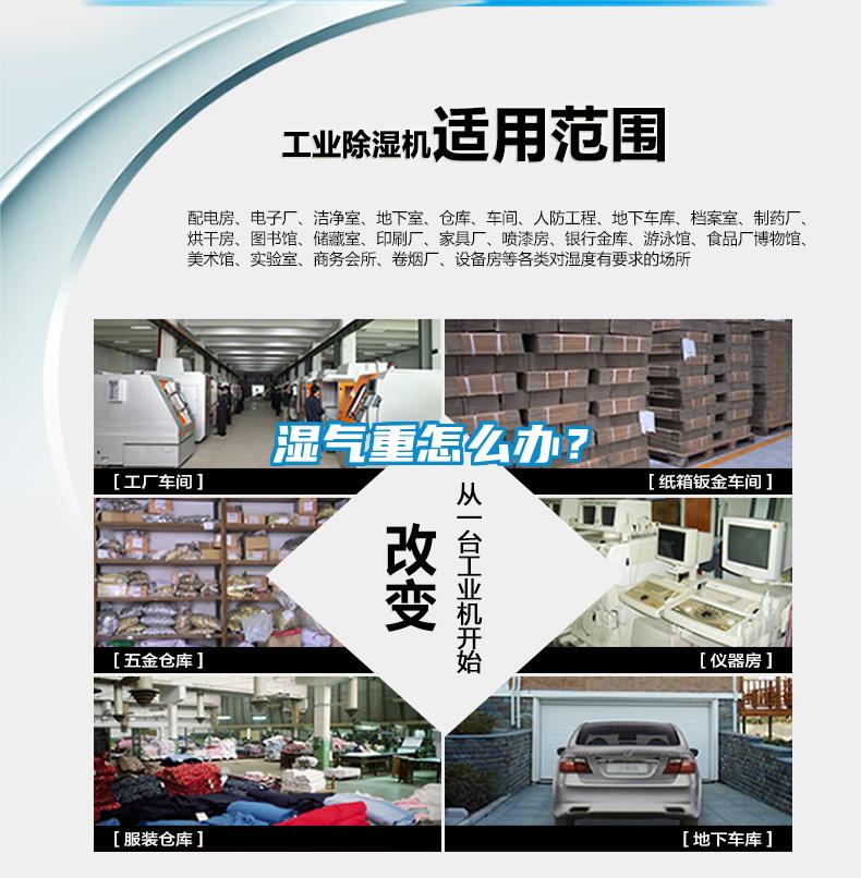 濕氣重怎么辦？