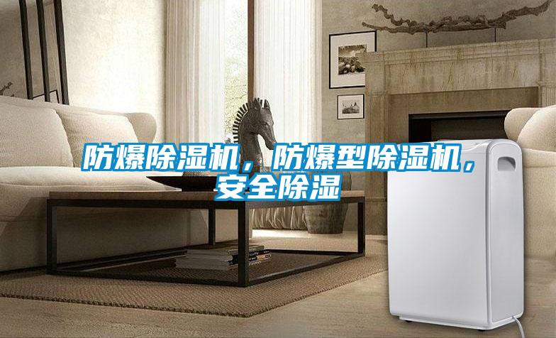 防爆除濕機(jī)，防爆型除濕機(jī)，安全除濕