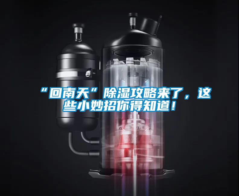 “回南天”除濕攻略來(lái)了，這些小妙招你得知道！