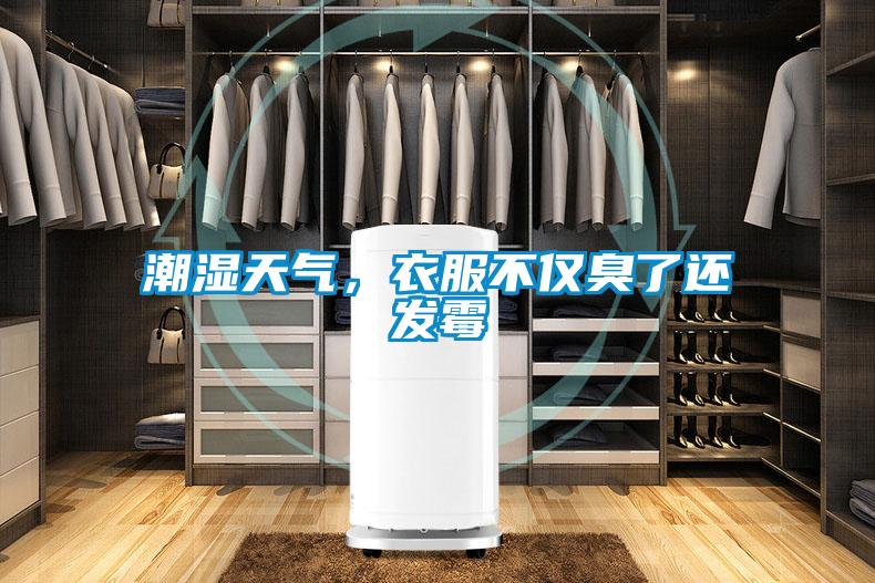 潮濕天氣，衣服不僅臭了還發(fā)霉