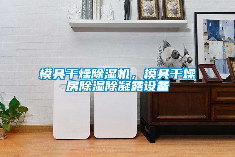模具干燥除濕機，模具干燥房除濕除凝露設備
