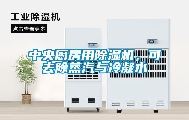 中央廚房用除濕機，可去除蒸汽與冷凝水