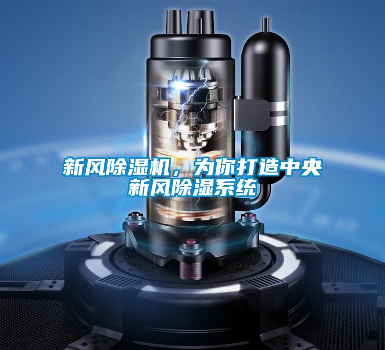 新風(fēng)除濕機(jī)，為你打造中央新風(fēng)除濕系統(tǒng)