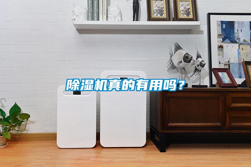 除濕機(jī)真的有用嗎？