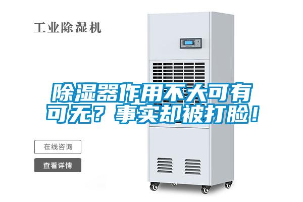 除濕器作用不大可有可無？事實卻被打臉！