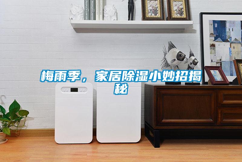 梅雨季，家居除濕小妙招揭秘