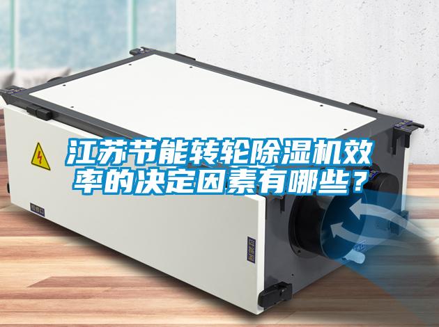 江蘇節(jié)能轉(zhuǎn)輪除濕機(jī)效率的決定因素有哪些？