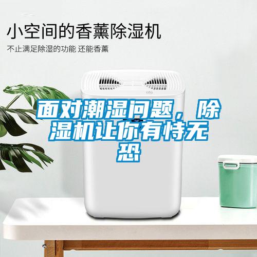 面對(duì)潮濕問(wèn)題，除濕機(jī)讓你有恃無(wú)恐