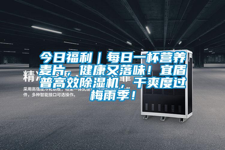 今日福利｜每日一杯營(yíng)養(yǎng)麥片，健康又落味！宜盾普高效除濕機(jī)，干爽度過(guò)梅雨季！
