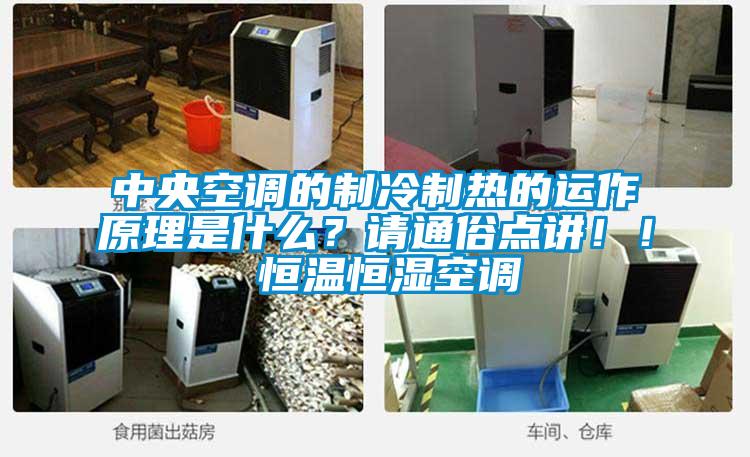 中央空調(diào)的制冷制熱的運作原理是什么？請通俗點講?。?恒溫恒濕空調(diào)