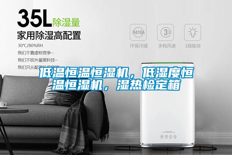 低溫恒溫恒濕機(jī)，低濕度恒溫恒濕機(jī)，濕熱檢定箱