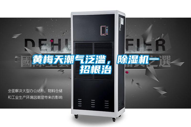 黃梅天潮氣泛濫，除濕機(jī)一招根治