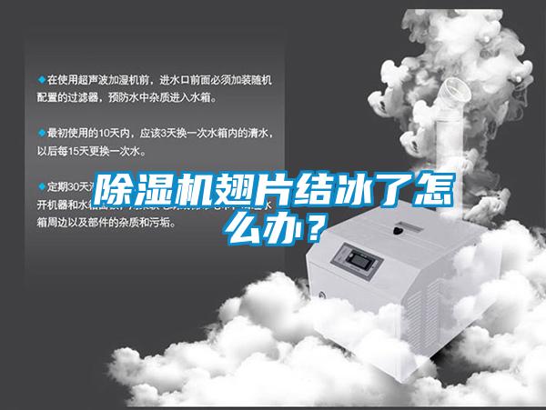 除濕機翅片結冰了怎么辦？