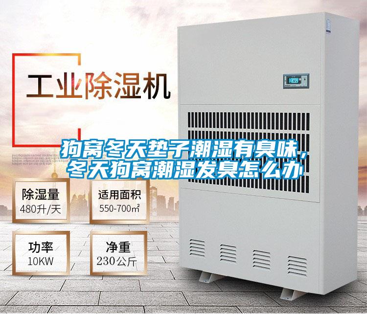 狗窩冬天墊子潮濕有臭味，冬天狗窩潮濕發(fā)臭怎么辦