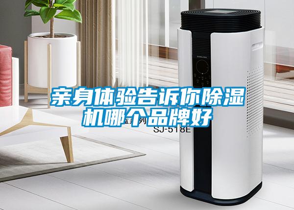 親身體驗告訴你除濕機(jī)哪個品牌好