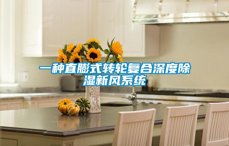 一種直膨式轉輪復合深度除濕新風系統(tǒng)