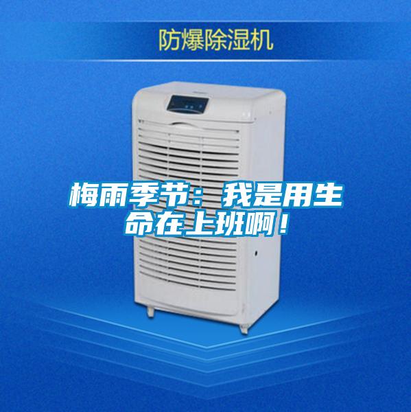 梅雨季節(jié)：我是用生命在上班?。?/></p>
                              <p style=