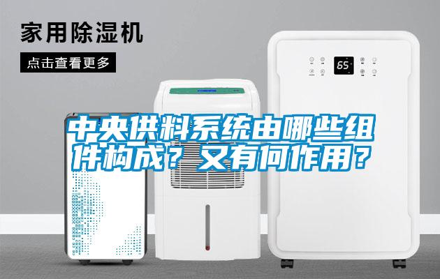中央供料系統(tǒng)由哪些組件構(gòu)成？又有何作用？