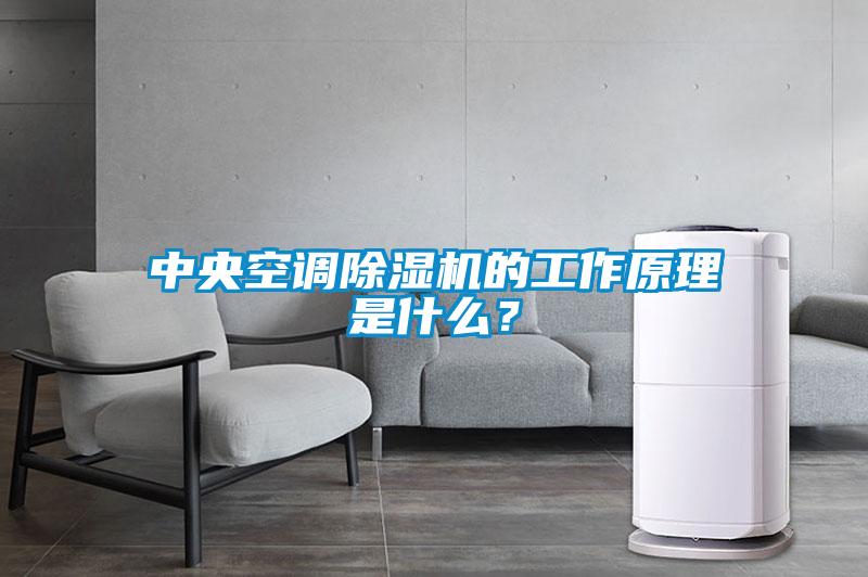 中央空調(diào)除濕機的工作原理是什么？