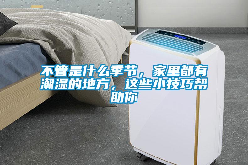 不管是什么季節(jié)，家里都有潮濕的地方，這些小技巧幫助你