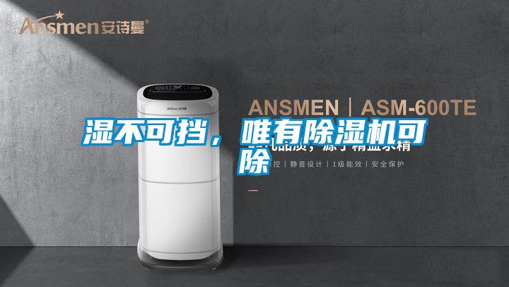 濕不可擋，唯有除濕機可除