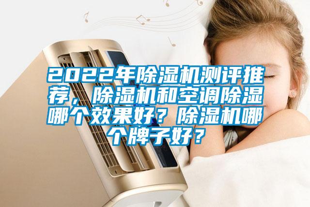 2022年除濕機(jī)測(cè)評(píng)推薦，除濕機(jī)和空調(diào)除濕哪個(gè)效果好？除濕機(jī)哪個(gè)牌子好？