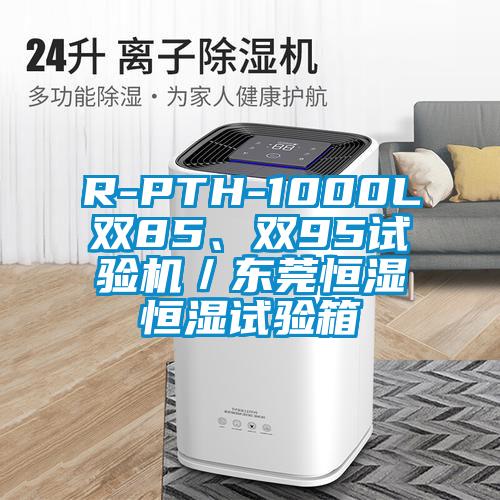 R-PTH-1000L雙85、雙95試驗機／東莞恒濕恒濕試驗箱
