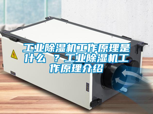 工業(yè)除濕機工作原理是什么 ？工業(yè)除濕機工作原理介紹