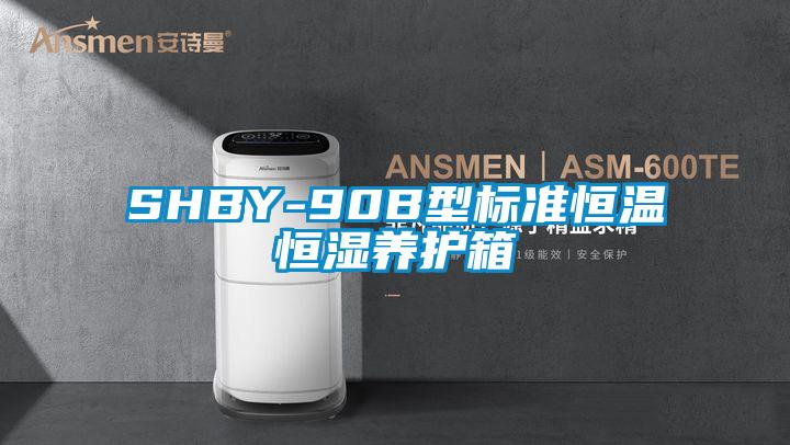 SHBY-90B型標準恒溫恒濕養(yǎng)護箱