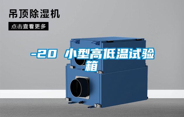 -20℃小型高低溫試驗(yàn)箱