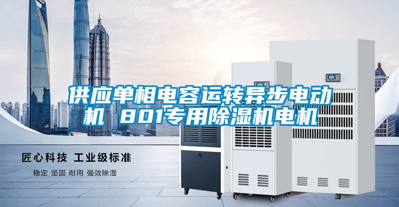 供應單相電容運轉(zhuǎn)異步電動機 801專用除濕機電機