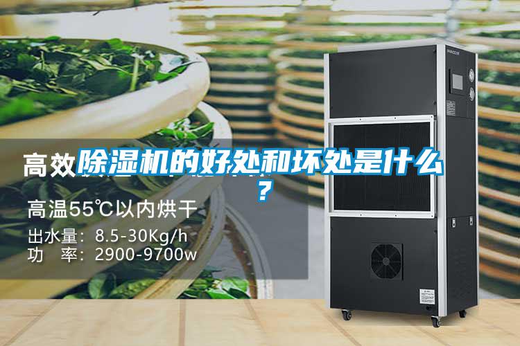 除濕機(jī)的好處和壞處是什么？