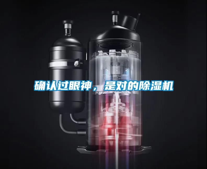 確認(rèn)過眼神，是對(duì)的除濕機(jī)