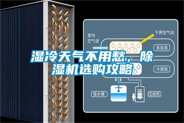 濕冷天氣不用愁，除濕機選購攻略