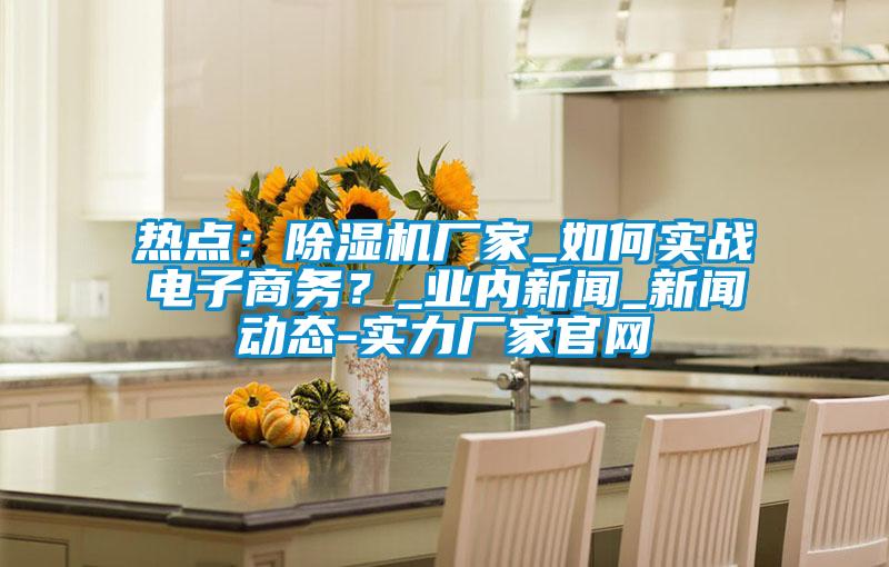 熱點(diǎn)：除濕機(jī)廠家_如何實(shí)戰(zhàn)電子商務(wù)？_業(yè)內(nèi)新聞_新聞動(dòng)態(tài)-實(shí)力廠家官網(wǎng)