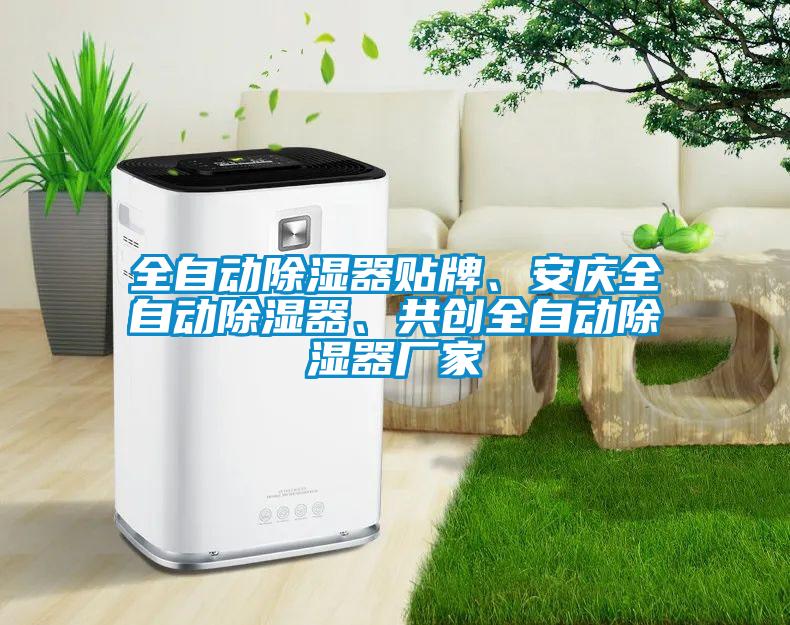 全自動除濕器貼牌、安慶全自動除濕器、共創(chuàng)全自動除濕器廠家