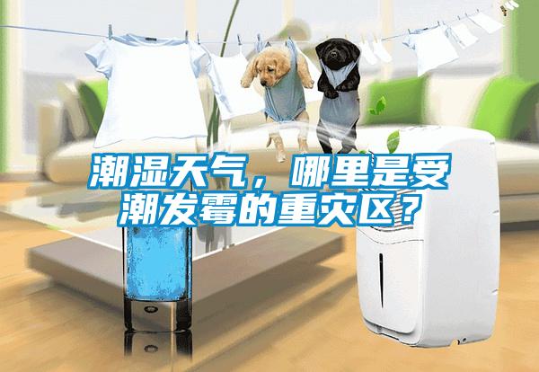 潮濕天氣，哪里是受潮發(fā)霉的重災(zāi)區(qū)？