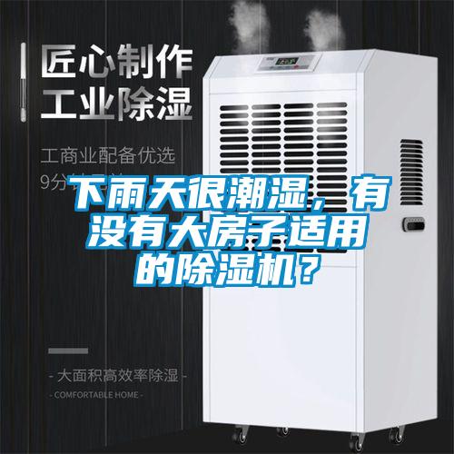 下雨天很潮濕，有沒有大房子適用的除濕機？