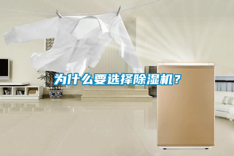 為什么要選擇除濕機？