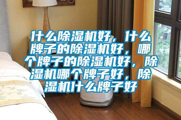 什么除濕機(jī)好，什么牌子的除濕機(jī)好，哪個(gè)牌子的除濕機(jī)好，除濕機(jī)哪個(gè)牌子好，除濕機(jī)什么牌子好