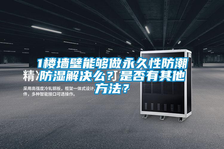 1樓墻壁能夠做永久性防潮防濕解決么？是否有其他方法？