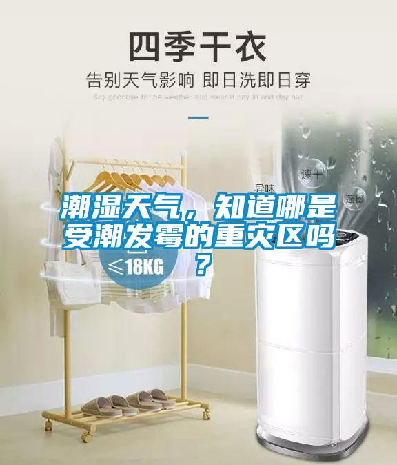 潮濕天氣，知道哪是受潮發(fā)霉的重災(zāi)區(qū)嗎？
