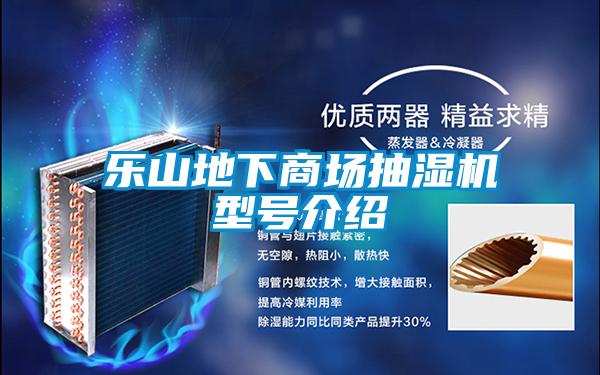 樂山地下商場抽濕機(jī)型號介紹