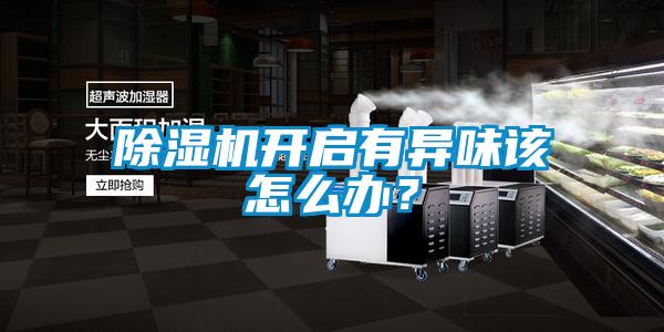 除濕機(jī)開啟有異味該怎么辦？
