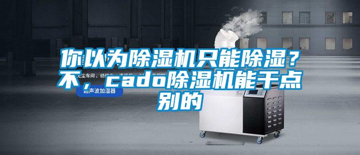 你以為除濕機(jī)只能除濕？不，cado除濕機(jī)能干點(diǎn)別的