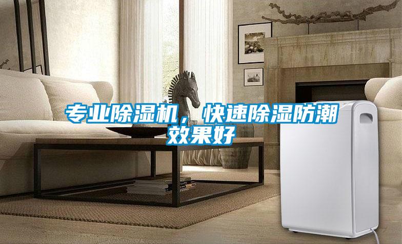 專業(yè)除濕機(jī)，快速除濕防潮效果好