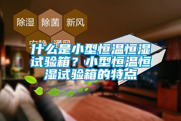 什么是小型恒溫恒濕試驗(yàn)箱？小型恒溫恒濕試驗(yàn)箱的特點(diǎn)