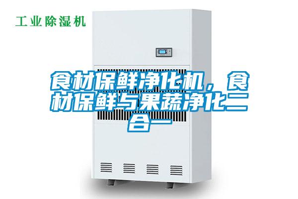 食材保鮮凈化機，食材保鮮與果蔬凈化二合一