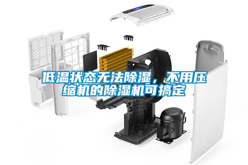 低溫狀態(tài)無法除濕，不用壓縮機的除濕機可搞定